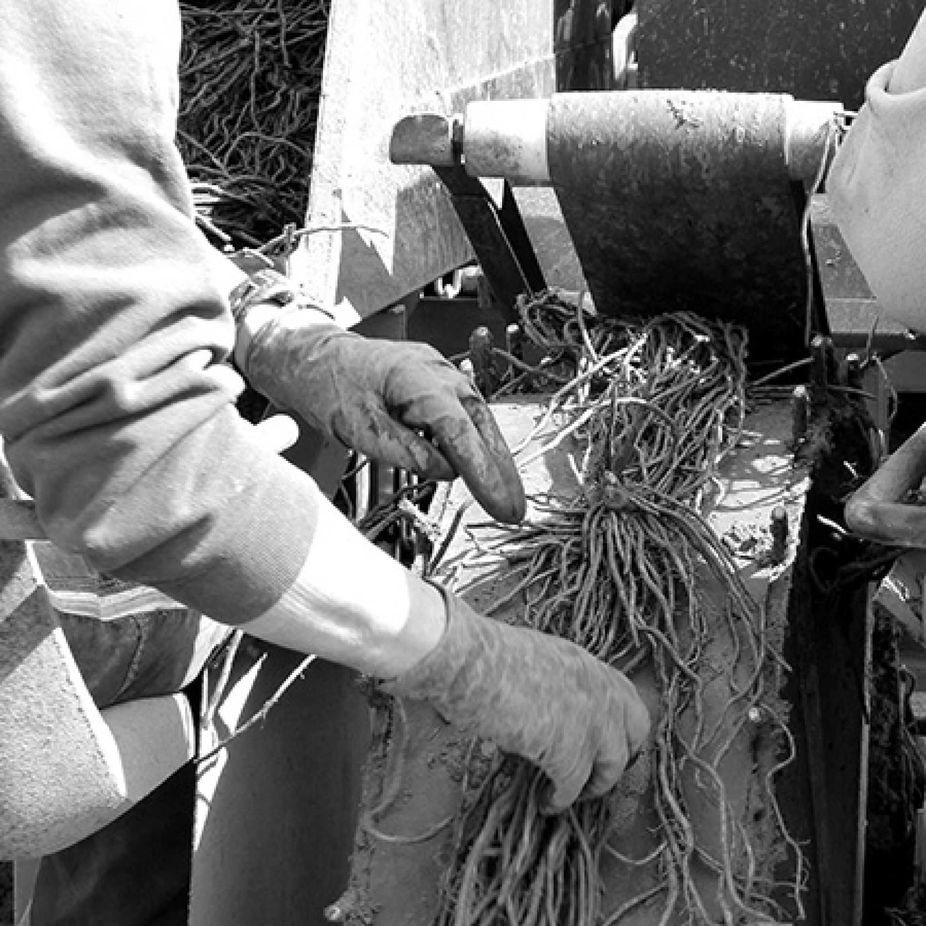 wurth-obst-und-spargel-zusammenarbeit